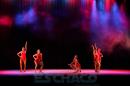Gala por el Da Internacional de la Danza-(Guido Miranda)