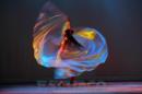 Gala por el Da Internacional de la Danza-(Guido Miranda)