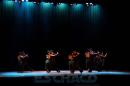 Gala por el Da Internacional de la Danza-(Guido Miranda)