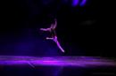 Homenaje al Da Provincial de la Danza
