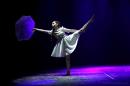 Homenaje al Da Provincial de la Danza