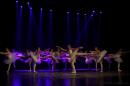 Homenaje al Da Provincial de la Danza