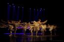 Homenaje al Da Provincial de la Danza