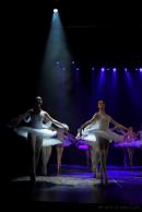 Homenaje al Da Provincial de la Danza
