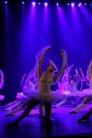 Homenaje al Da Provincial de la Danza
