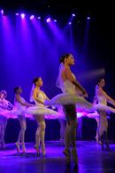 Homenaje al Da Provincial de la Danza