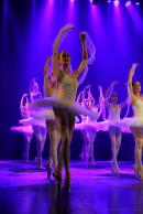 Homenaje al Da Provincial de la Danza