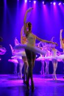 Homenaje al Da Provincial de la Danza