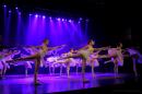 Homenaje al Da Provincial de la Danza