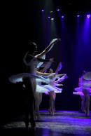Homenaje al Da Provincial de la Danza