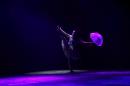 Homenaje al Da Provincial de la Danza
