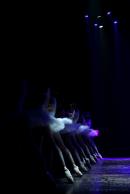 Homenaje al Da Provincial de la Danza