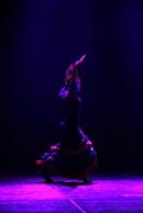 Homenaje al Da Provincial de la Danza