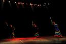 Homenaje al Da Provincial de la Danza