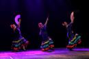 Homenaje al Da Provincial de la Danza
