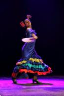 Homenaje al Da Provincial de la Danza