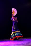 Homenaje al Da Provincial de la Danza