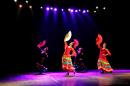 Homenaje al Da Provincial de la Danza