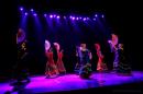 Homenaje al Da Provincial de la Danza