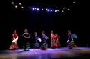 Homenaje al Da Provincial de la Danza