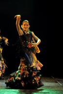 Homenaje al Da Provincial de la Danza