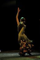 Homenaje al Da Provincial de la Danza