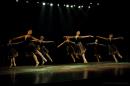 Homenaje al Da Provincial de la Danza