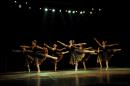 Homenaje al Da Provincial de la Danza