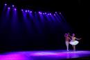 Homenaje al Da Provincial de la Danza
