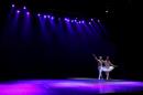 Homenaje al Da Provincial de la Danza