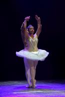Homenaje al Da Provincial de la Danza