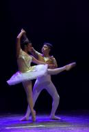 Homenaje al Da Provincial de la Danza