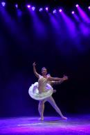 Homenaje al Da Provincial de la Danza