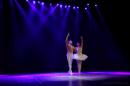 Homenaje al Da Provincial de la Danza