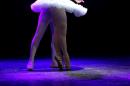 Homenaje al Da Provincial de la Danza