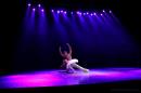 Homenaje al Da Provincial de la Danza
