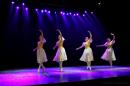Homenaje al Da Provincial de la Danza