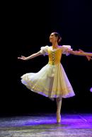 Homenaje al Da Provincial de la Danza