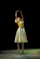 Homenaje al Da Provincial de la Danza