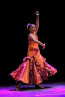 Homenaje al Da Provincial de la Danza