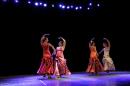 Homenaje al Da Provincial de la Danza