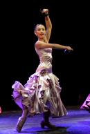 Homenaje al Da Provincial de la Danza