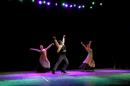 Homenaje al Da Provincial de la Danza