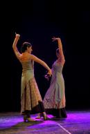 Homenaje al Da Provincial de la Danza