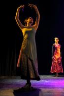 Homenaje al Da Provincial de la Danza