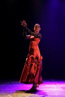 Homenaje al Da Provincial de la Danza