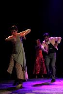 Homenaje al Da Provincial de la Danza