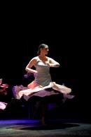 Homenaje al Da Provincial de la Danza