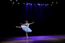 Homenaje al Da Provincial de la Danza