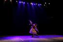 Homenaje al Da Provincial de la Danza